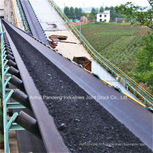 Convoyeur Blet / Flame-Resistant Conveyor Belt avec la carcasse de textile de PVC